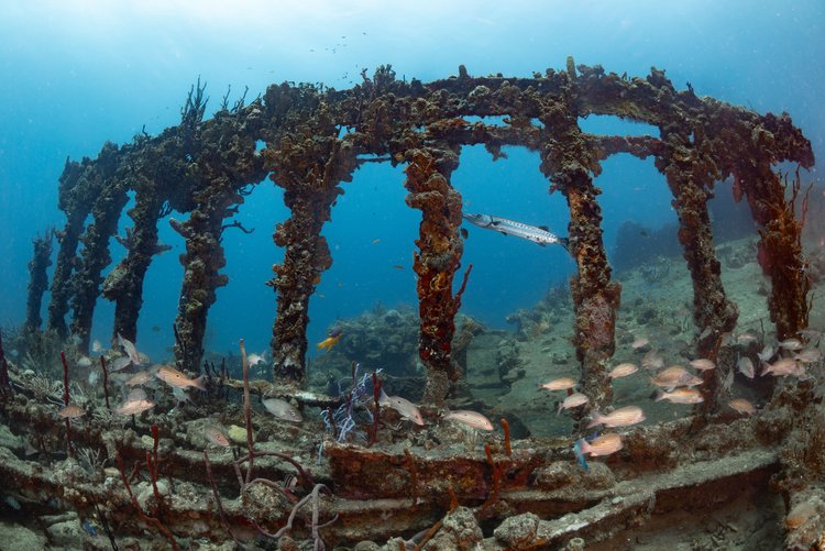 Dead Chest National Park & RMS Rhone Marine Park